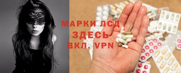 стафф Алзамай