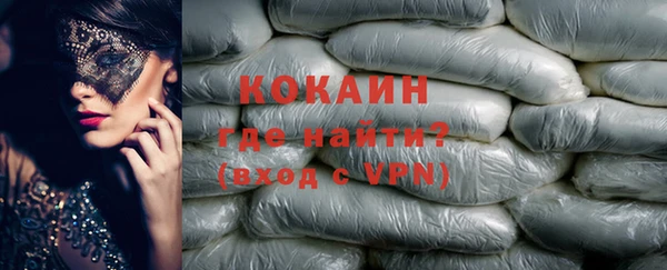 стафф Алзамай
