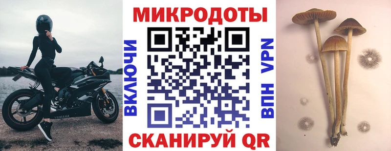 Галлюциногенные грибы прущие грибы  Невинномысск 