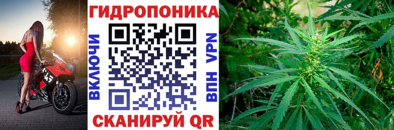 darknet официальный сайт  Невинномысск  Марихуана Ganja 